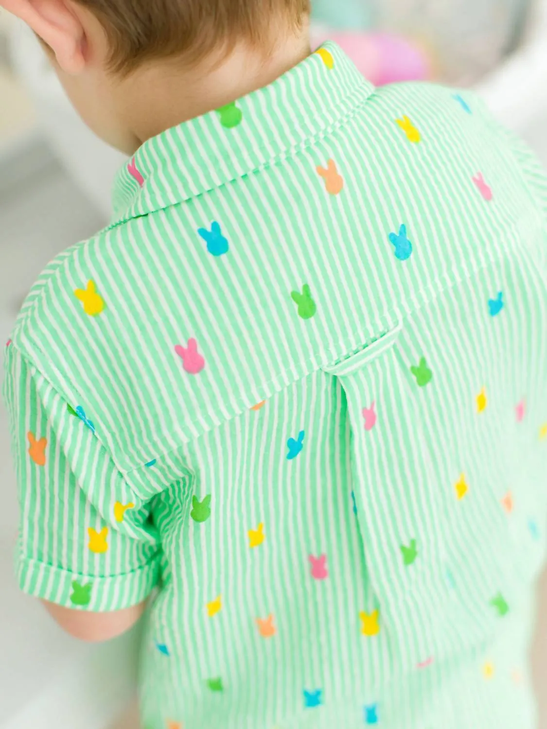 Boy's Bunny Stripe Short Sleeve Button Down Shirt In Green