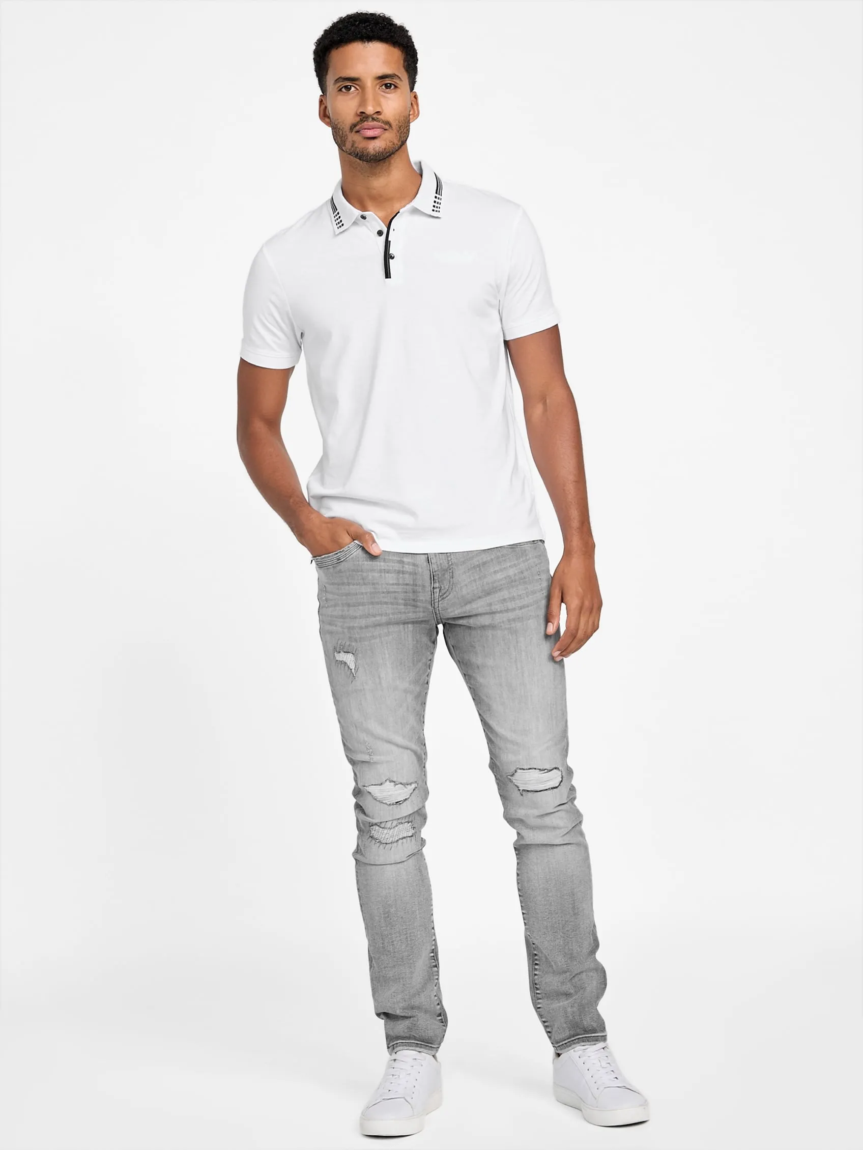 Eco Francisco Polo