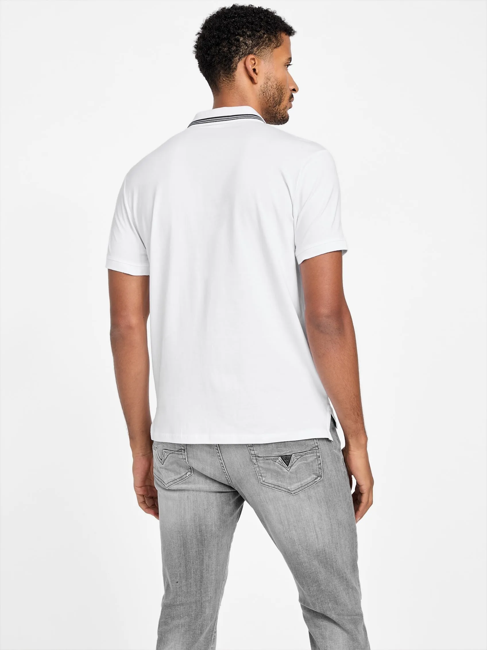 Eco Francisco Polo