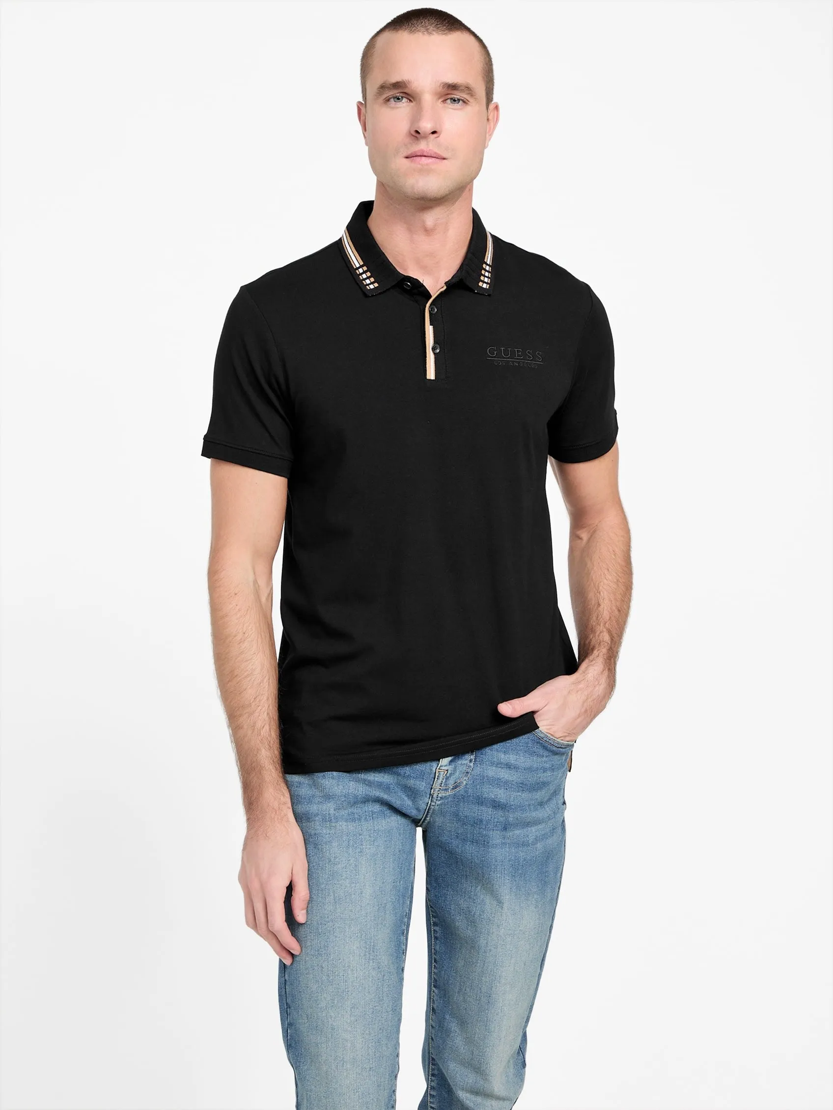Eco Francisco Polo