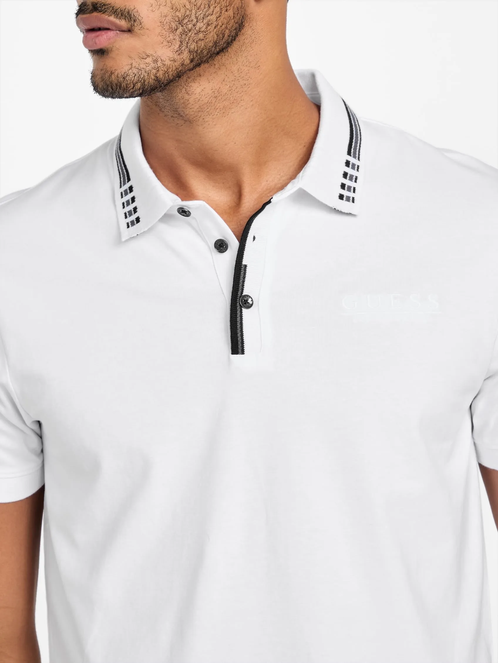 Eco Francisco Polo