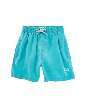 Endless Summer Volley Swim Short