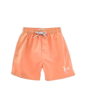 Endless Summer Volley Swim Short