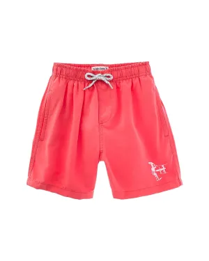 Endless Summer Volley Swim Short