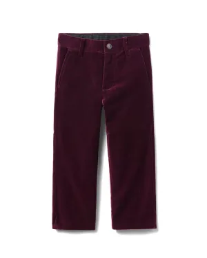 Janie and Jack The Velvet Party Pant