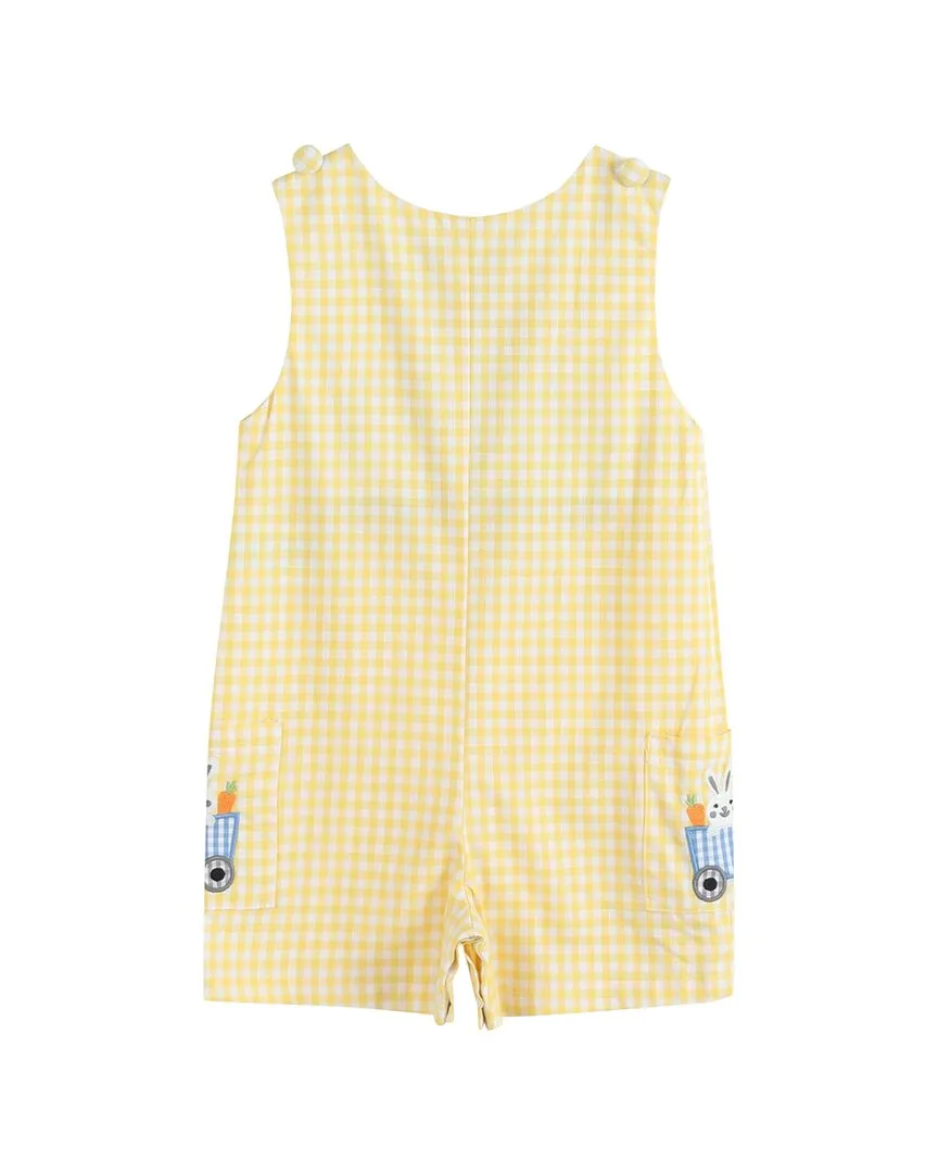 Lil Cactus Gingham Bunny Train Shortall