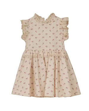Noralee Alice Dress